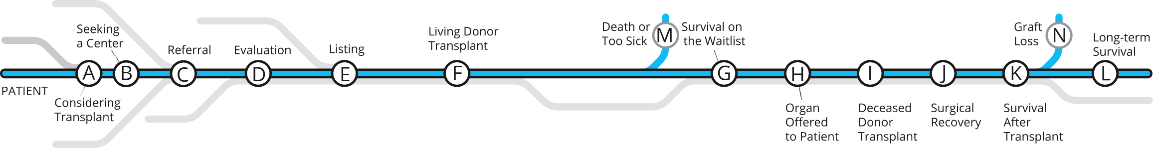 Transplant Journey