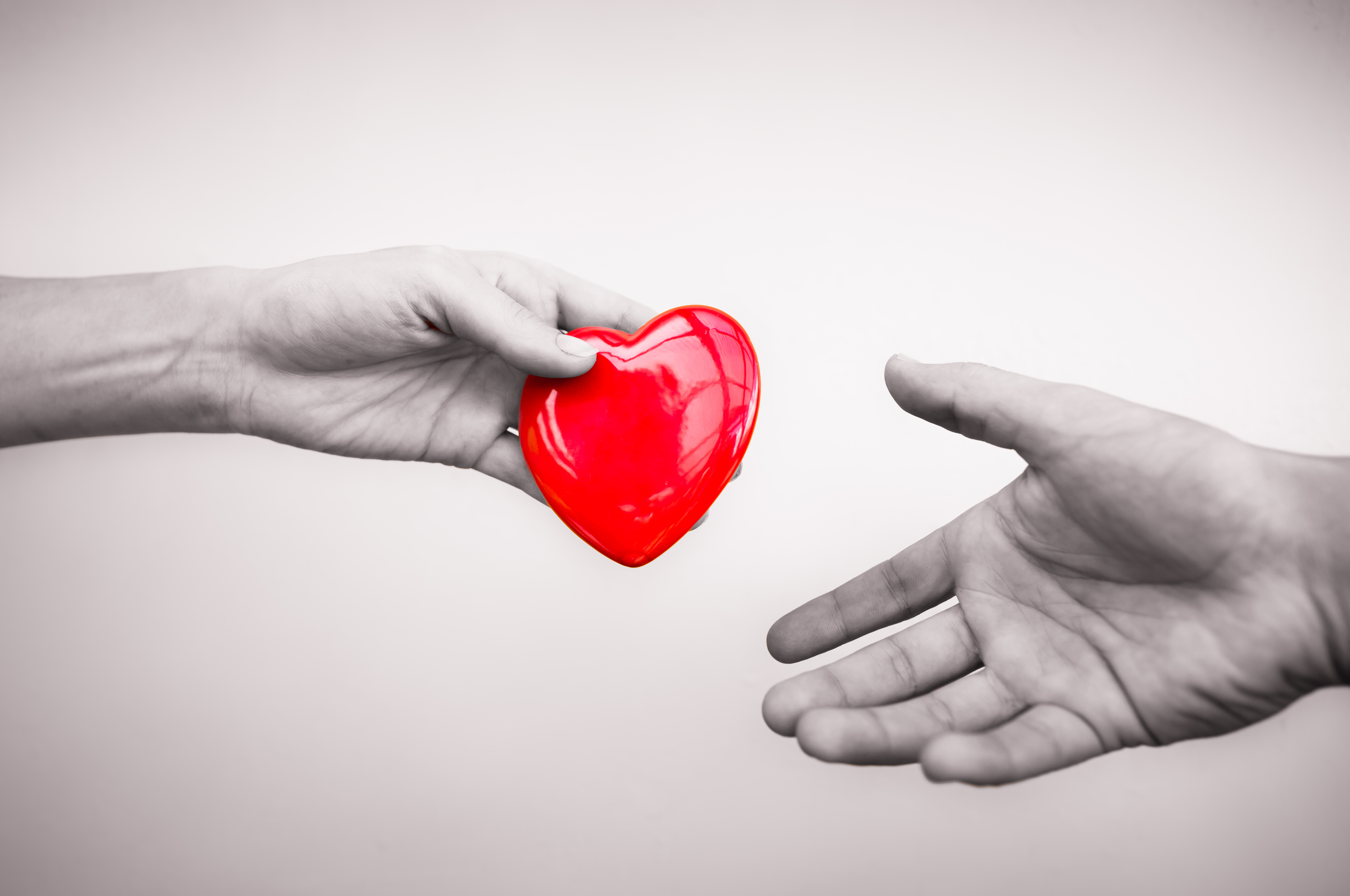 Resources for Potential Living Donors